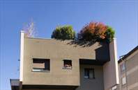 progetti ricettivi - Residenza in Via Bassi - Sondrio progetti ricettivi - Residenza in Via Bassi - Sondrio